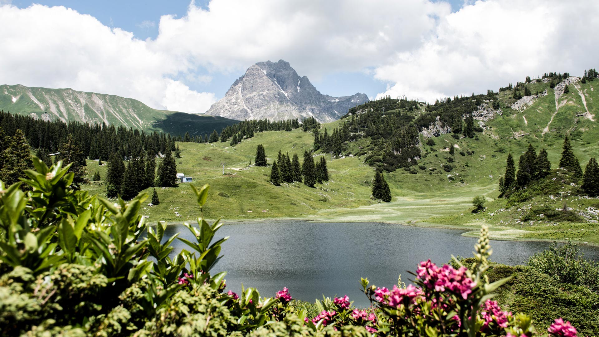 Alpenlandschaft mit See, blühenden Alpenrosen im Vordergrund und markantem Berggipfel unter blauem Himmel.